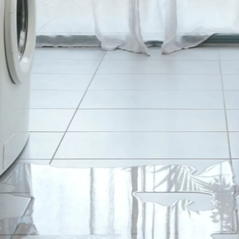 Appliance Leak Cleanup in Grant County, KY